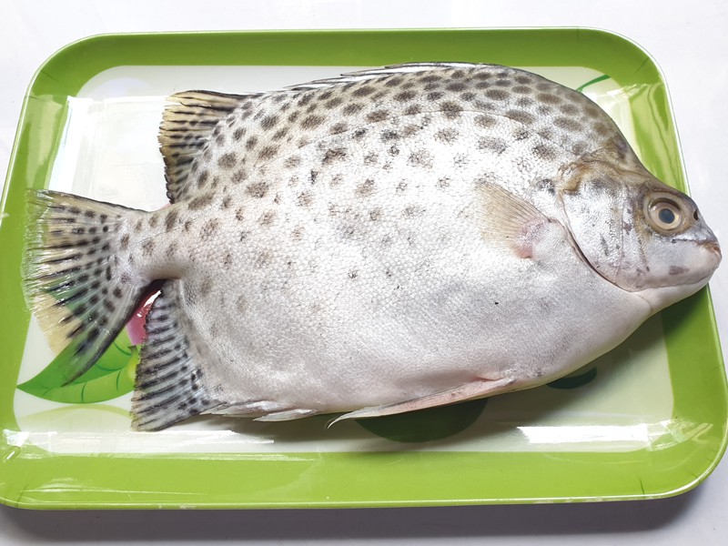 PAYRA FISH WHOLE ( চিত্রা মাছ ) thumbnail 2