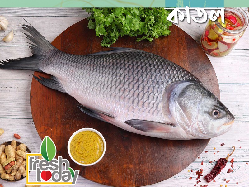 River Katol Fish (নদীর কাতল মাছ) thumbnail 4