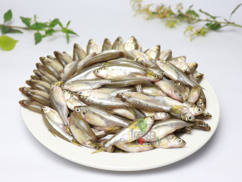 Deshi Mola Fish (দেশী মলা মাছ) thumbnail 2