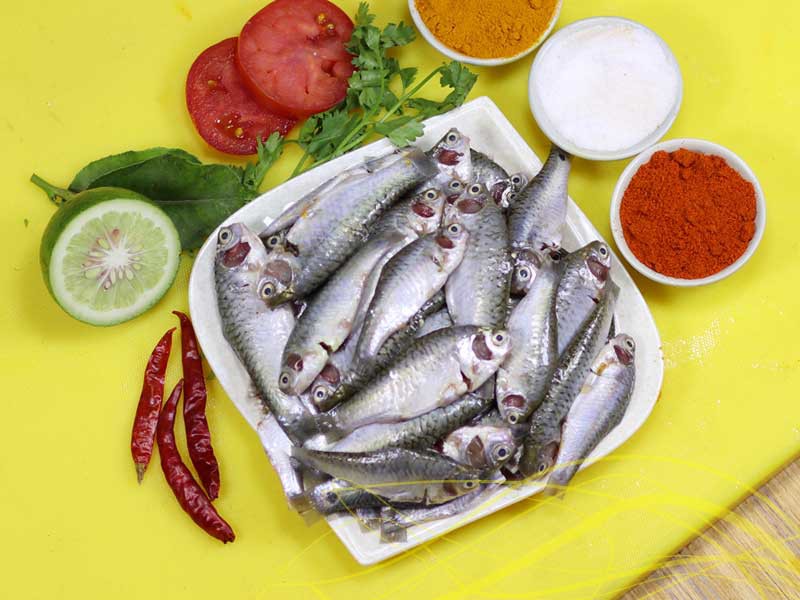 Desi Puti Fish Whole (দেশী পুটি মাছ ) thumbnail 3