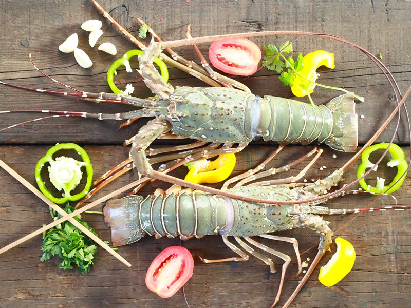 Sea Lobster Whole (সামুদ্রিক লবস্টার) thumbnail 3