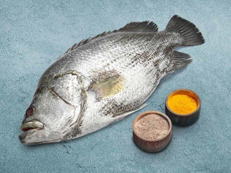 Black Snapper Whole (সামুদ্রিক কৈ কোরাল মাছ ) thumbnail 4