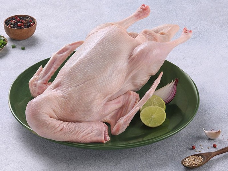 Deshi China Duck (দেশী চিনা হাঁস)