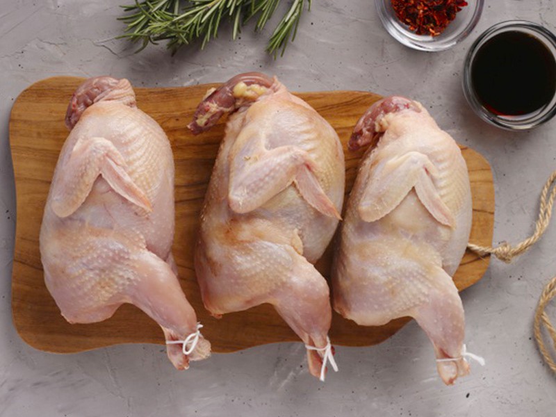 Premium Quail Bird 4.Pcs Pack