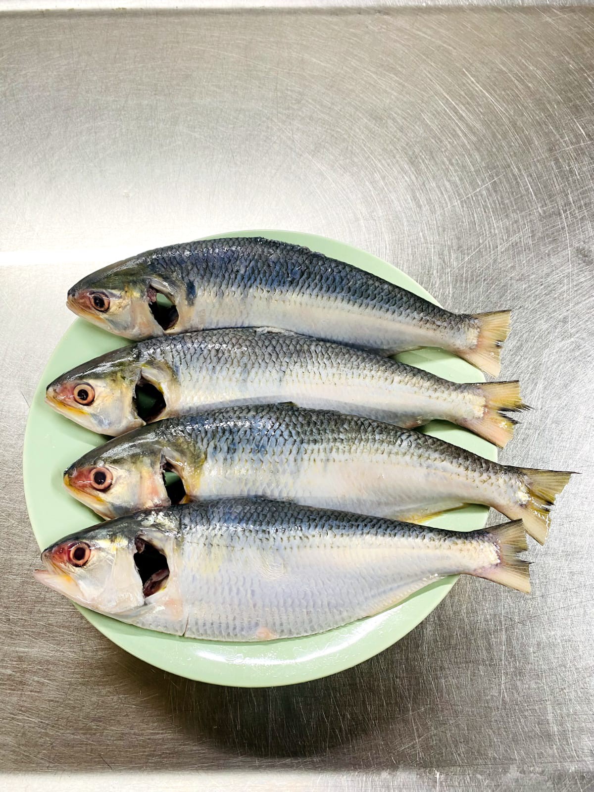 Hilsha Fish Small (ছোট ইলিশ মাছ) thumbnail 3